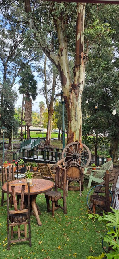 מאיולה: בית.קפה.טבע