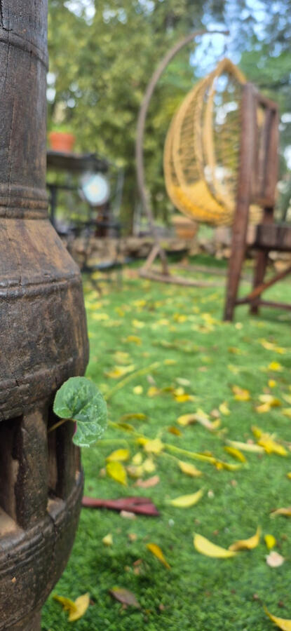 מאיולה: בית.קפה.טבע