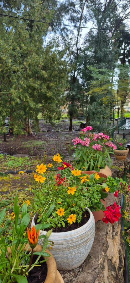 מאיולה: בית.קפה.טבע