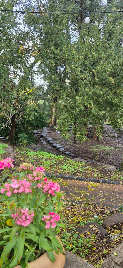 מאיולה: בית.קפה.טבע