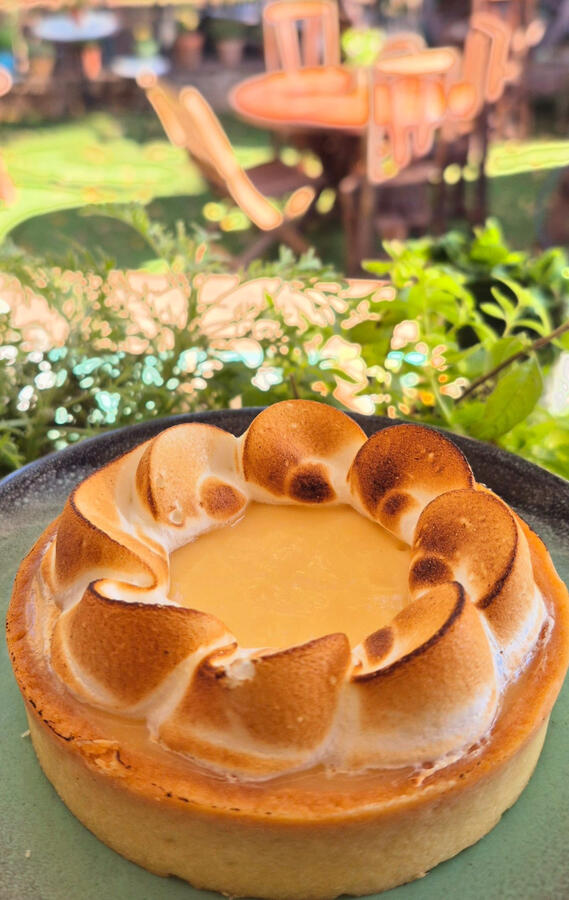 מאיולה: בית.קפה.טבע