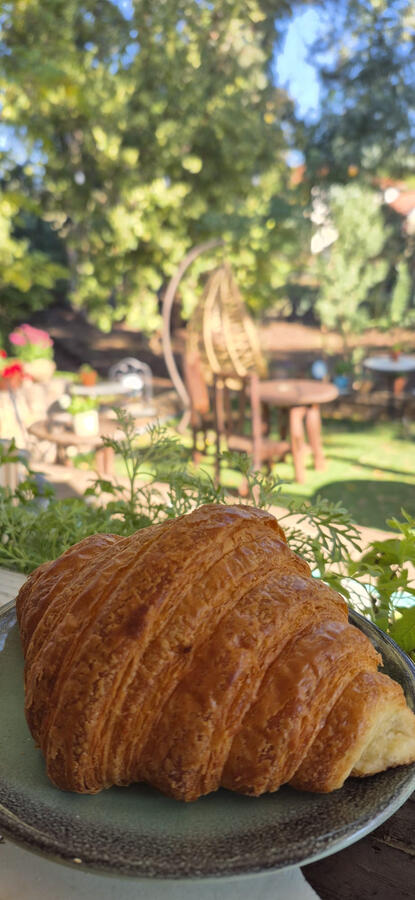 מאיולה: בית.קפה.טבע