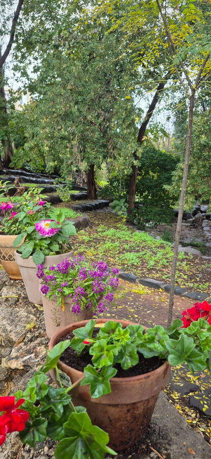 מאיולה: בית.קפה.טבע