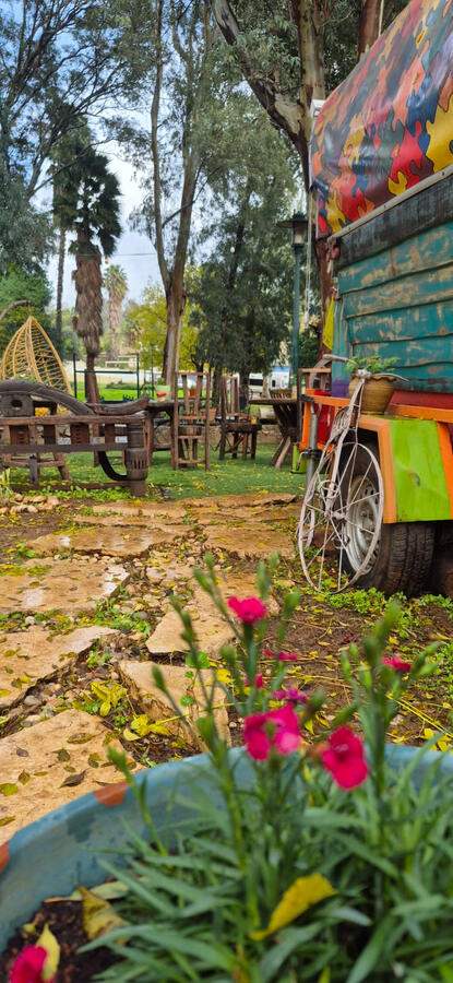מאיולה: בית.קפה.טבע